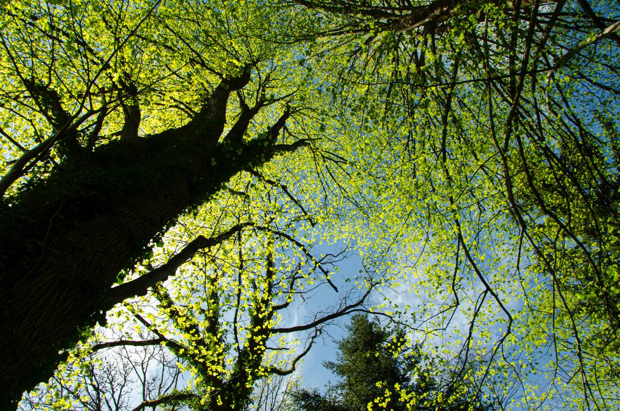 Kunst als Heilung nach Brustkrebs
