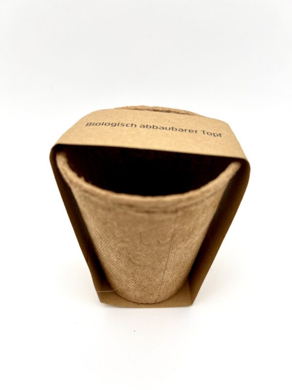 Biodegradable pot with seeds handmade envelope New Year's ritual kit Biodegradable pot with seeds handmade envelope New Year's ritual kit